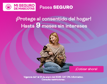 Banner MASC Móvil Liverpool