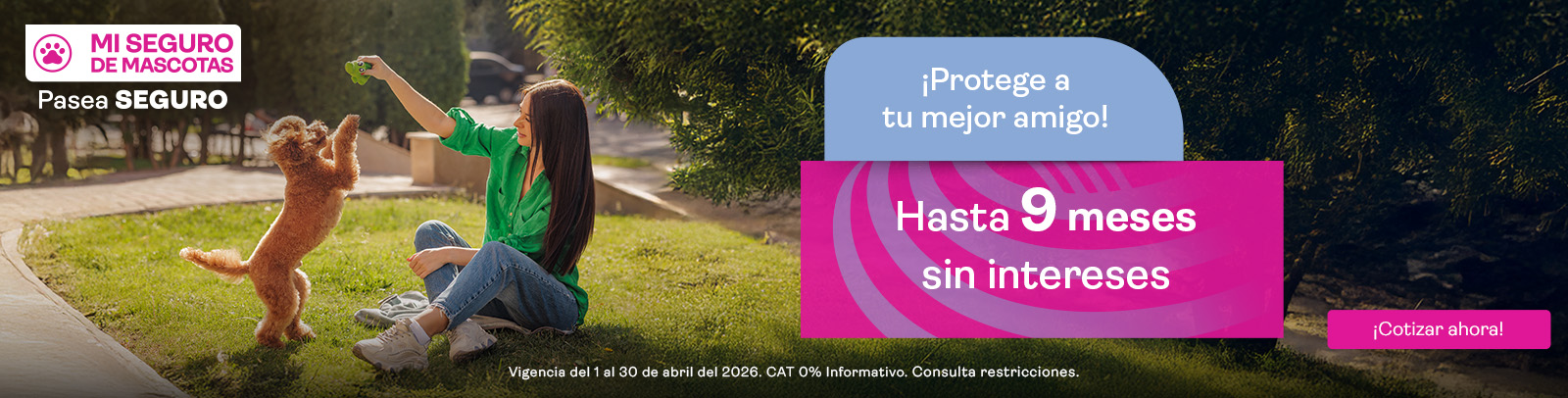 Banner MASC Web Liverpool