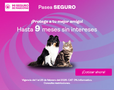 Banner MASC Móvil Liverpool